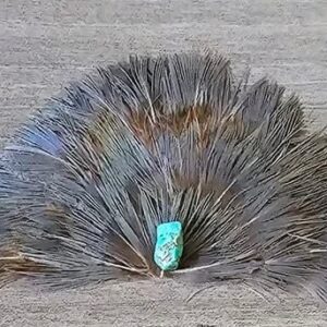 Blueish Feather Crest with Turquoise Stone