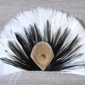 Beige Peacock Feather Crest