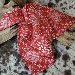 Red Paisely Silk Scarf