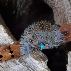 Feather Hatband with Turquoise Stone